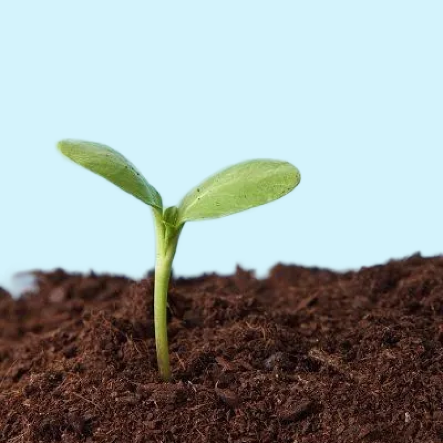 AI로 부업하기: 퇴직 전 준비하는 1인 기업